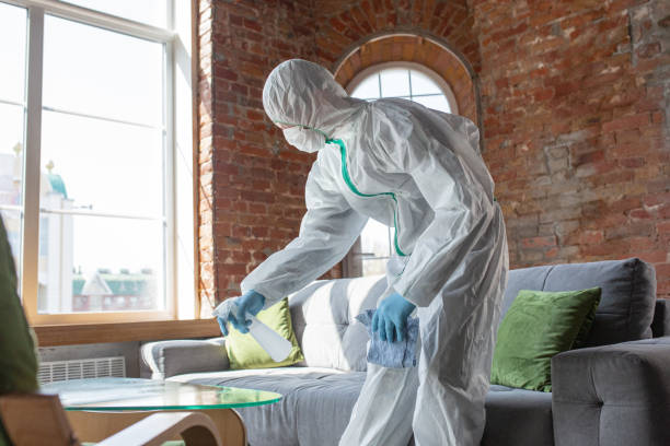 Best Biohazard Mold Removal  in Palm Beach Shores, FL