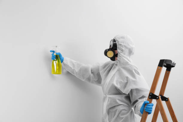 Mold Documentation for Insurance Claims in Palm Beach Shores, FL